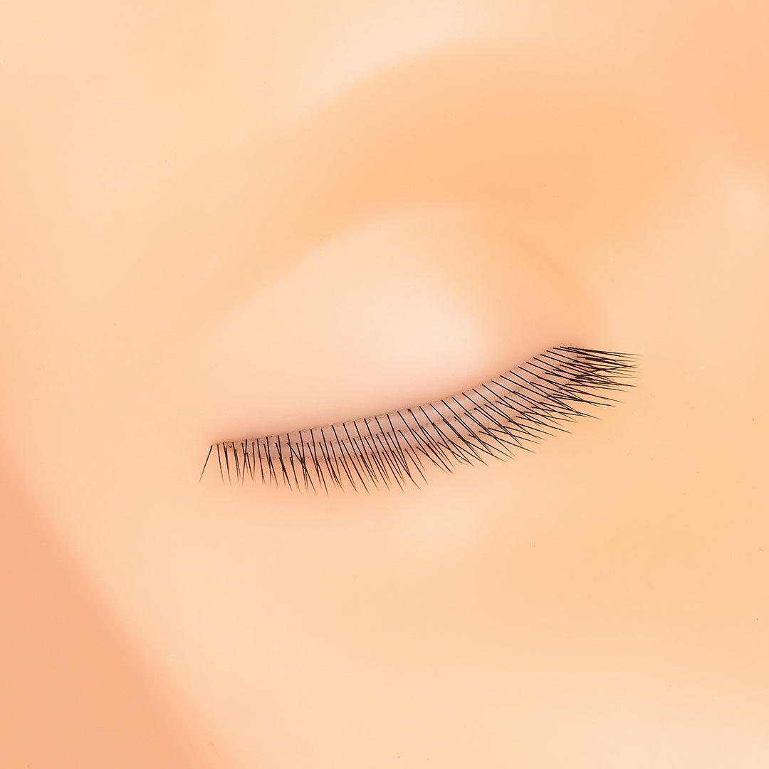 Mannequin Head With Three Layer Lashes For Lash Extensions